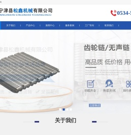 无声链-高温螺旋网带-链板输送机-转弯输送机-宁津县松鑫机械有限公司