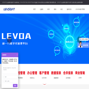 LEVSOFT为企业提供数智化服务平台-让企业管理更简单